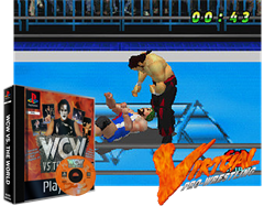 WCW vs. the World